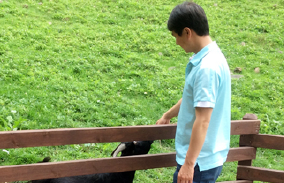 강원 평창 하늘마루목장 