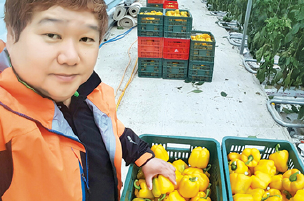 강원 강릉 퀸비애그리푸드