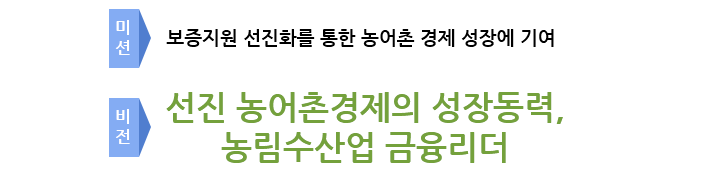 비전